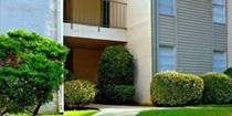 Cheap Apartments